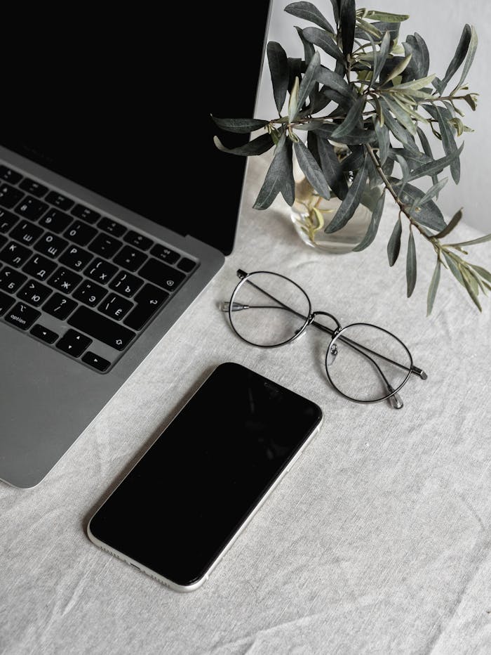 Flat lay of a laptop, smartphone, glasses, and plant on a table.